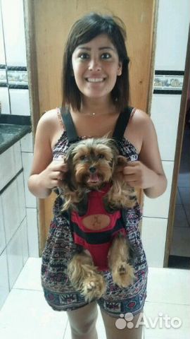 Рюкзак для переноски собак