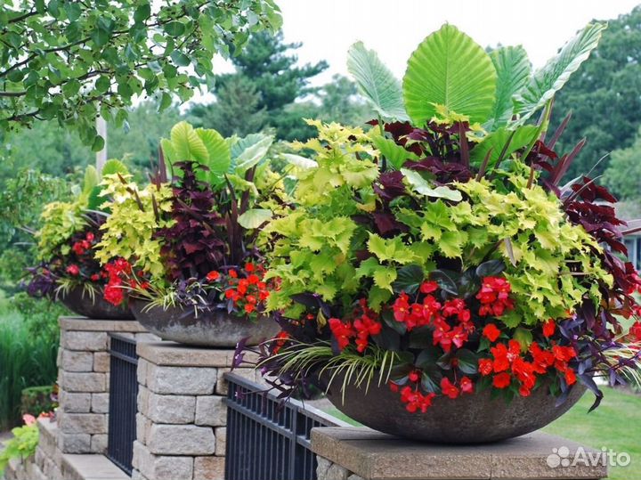 Вазоны для цветов