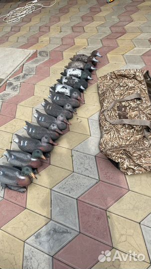 Чучела уток