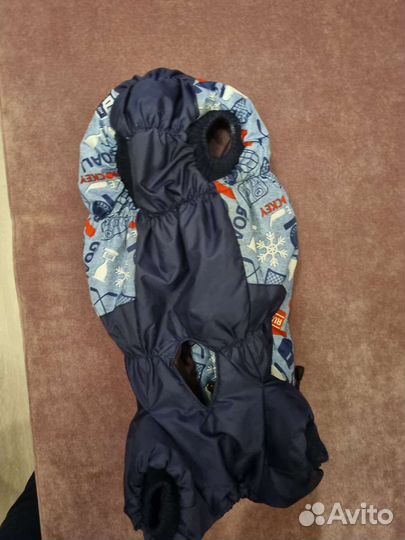 Комбинезон для карликовой таксы