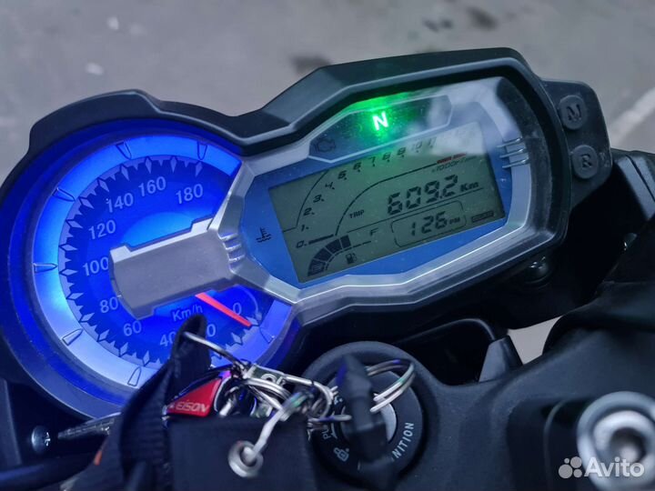 Regulmoto T-Leopard 300