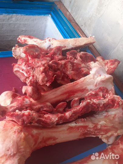 Кости для собак, корм, мясо