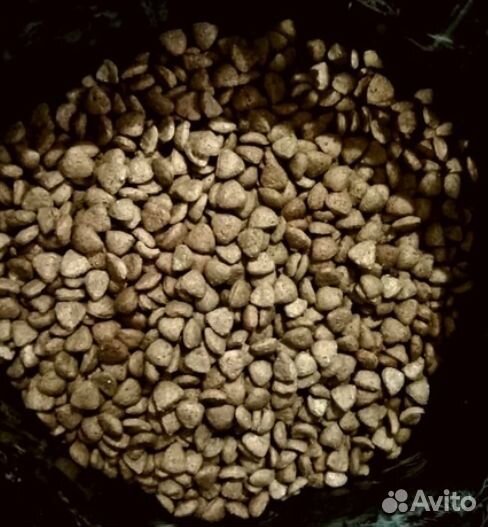 Сухой корм для собак