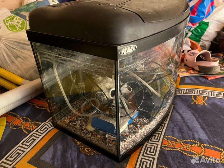 Аквариум со всем содержимым