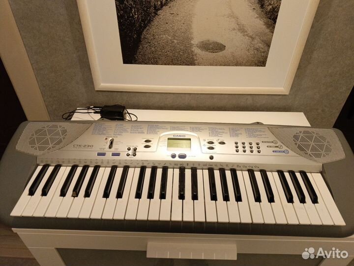 Синтезатор casio