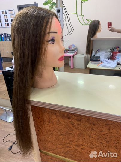 Голова учебная