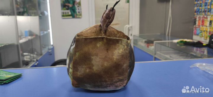 Шлёпа шлёпа Big Floppa