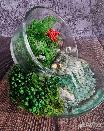 Моссариум в чайной паре-подарок на любой праздник