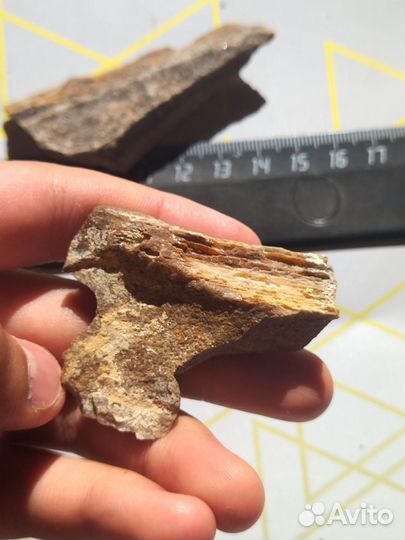 Редчайшая древесина