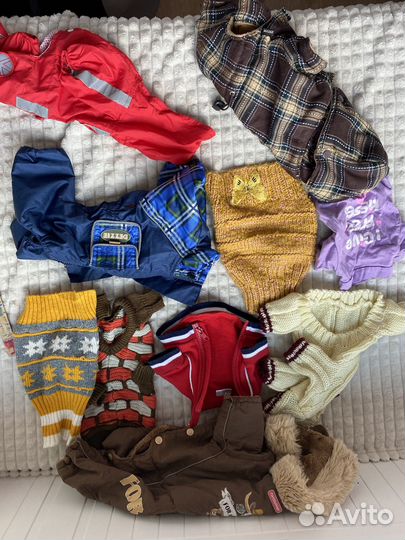 Новая одежда для собак