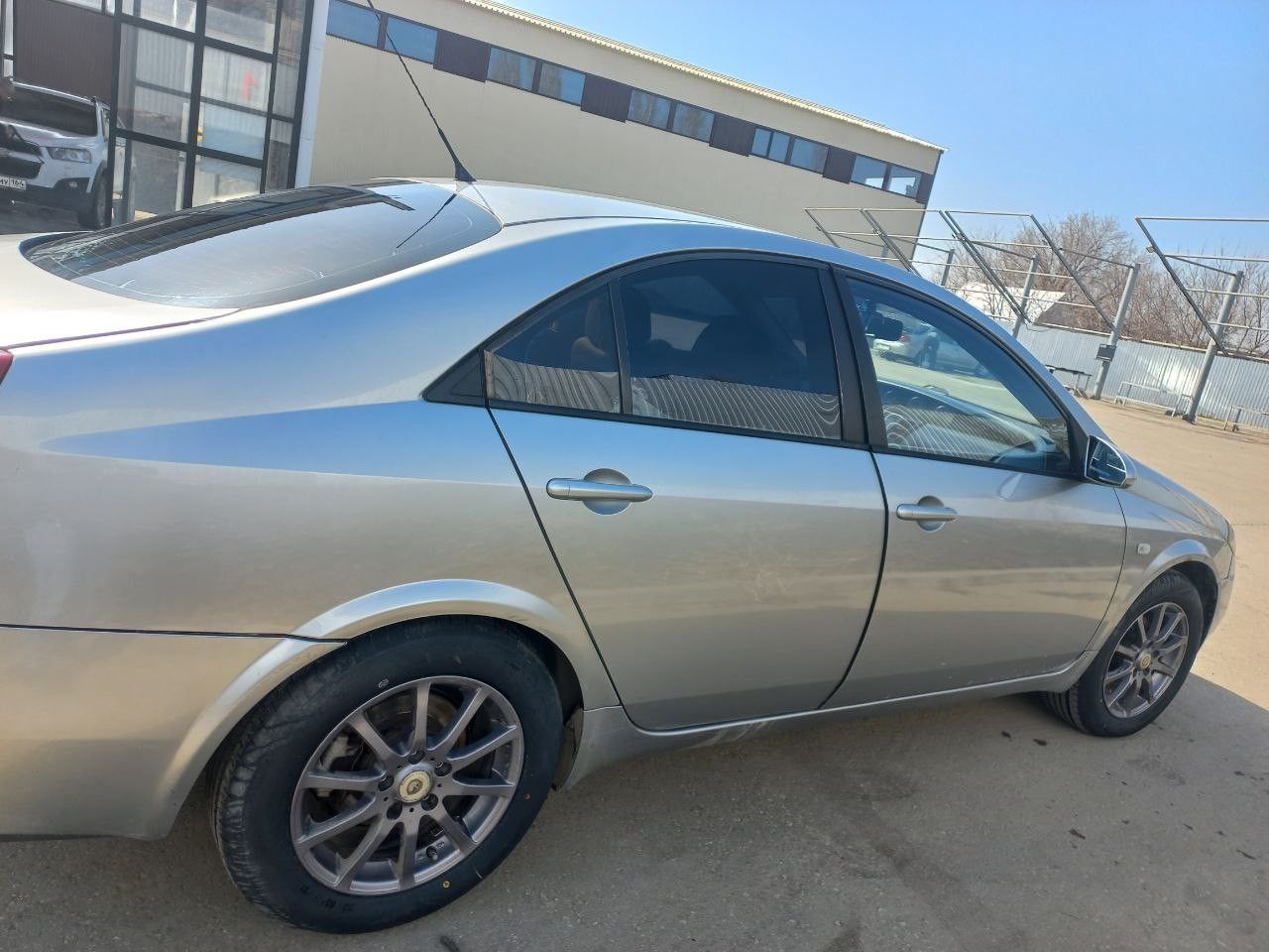 Nissan Primera: фото владельца