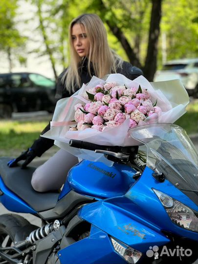 Пионы, пионы - много пионов для вас