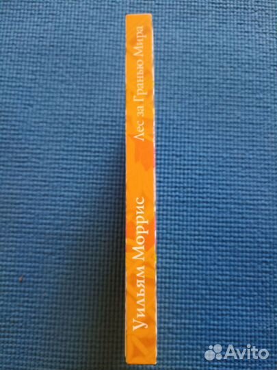 Моррис У. Лес за гранью мира