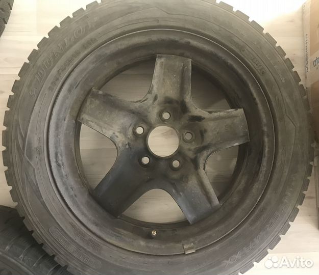 Dunlop Winter Maxx WM01 205/55 R16