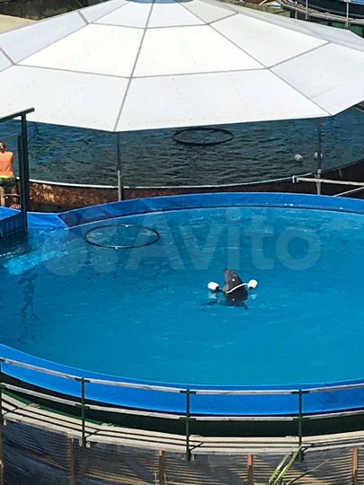 3-к. квартира, 50 м², 5/7 эт.