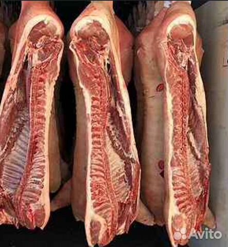 Мясо свинина