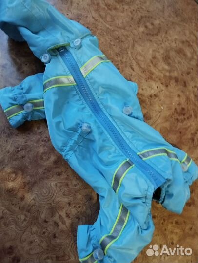 Дождевик для маленькой собаки