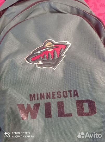 Рюкзак мужской минесота