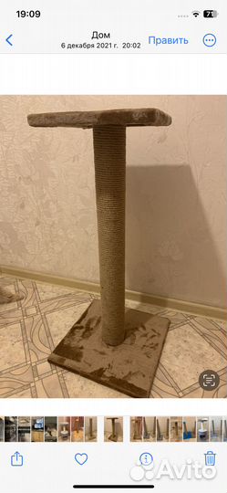 Когтеточки,домики,лежанки