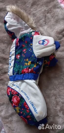 Одежда для собак мелких пород