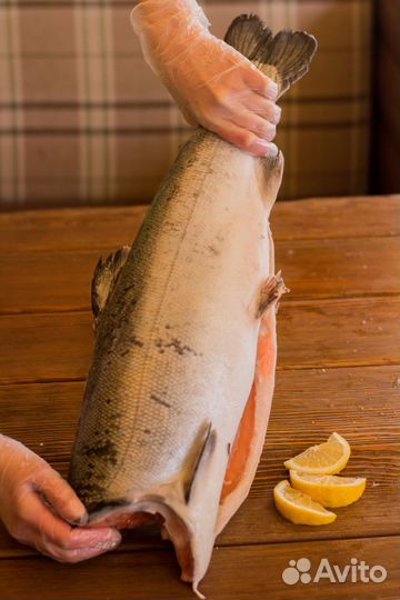 Красная рыба