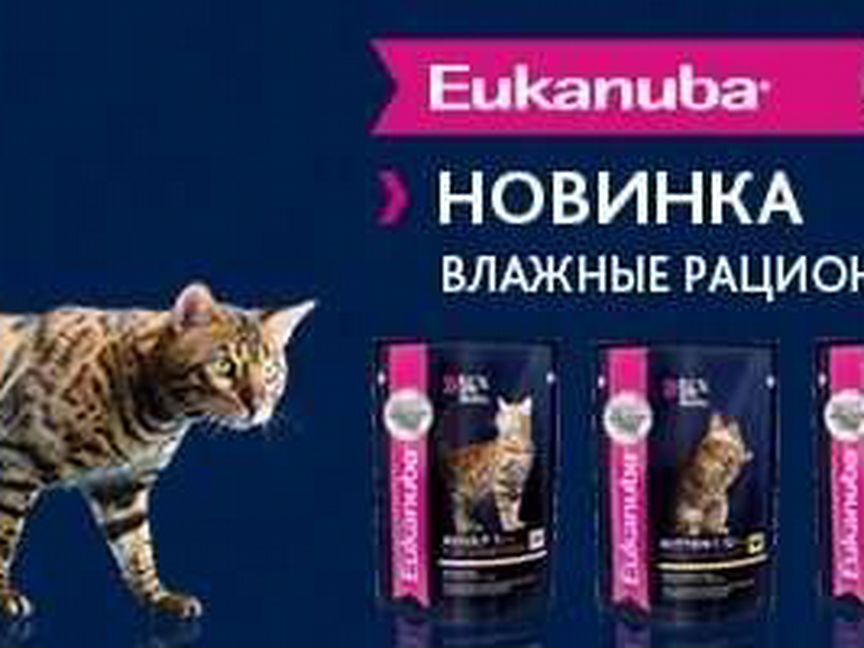 Eukanuba паучи для кошек