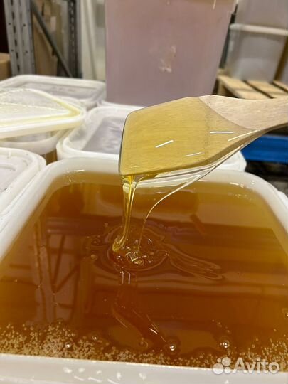 Майский мёд свежий 2024