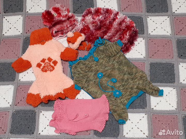 Одежда для собаки