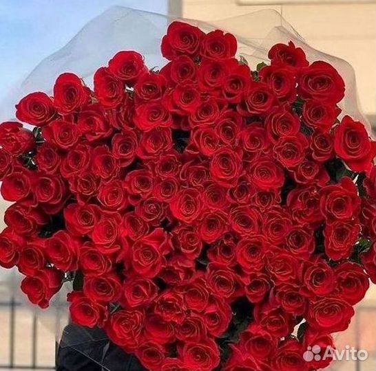 Высокие розы Гигантские розы с доставкой