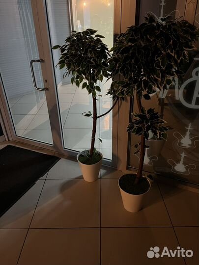 Салфетница деревянная,детали интерьера