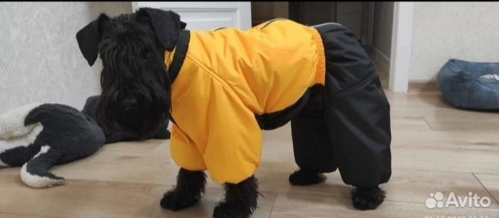 Зимний комбинезон для собак