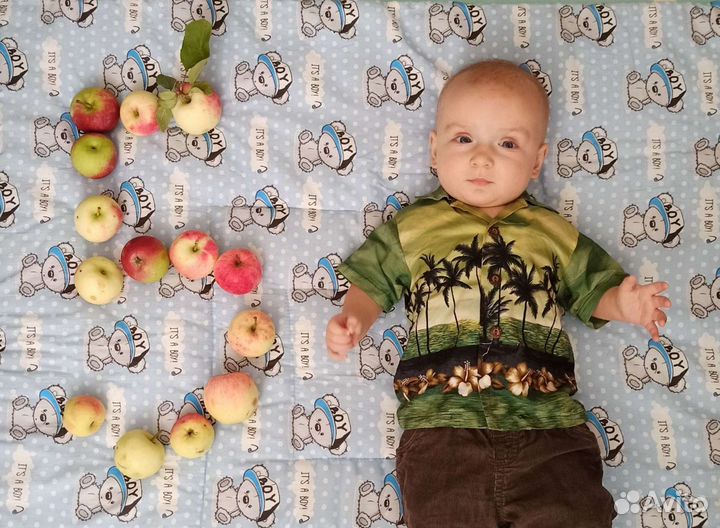 Рубашка для мальчика хлопок 68