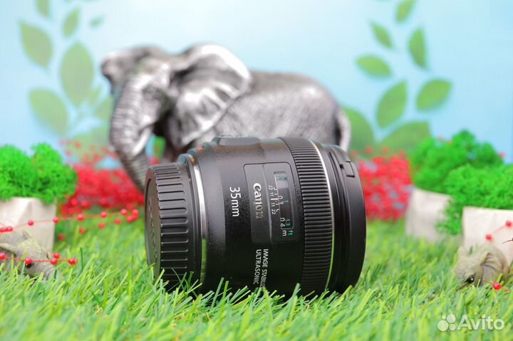 Canon EF 35mm f/2 IS USM ID665