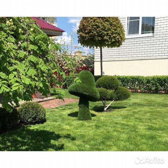 Топиарные фигуры из газона