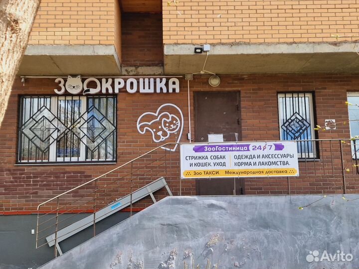 Зоогостиница для кошек