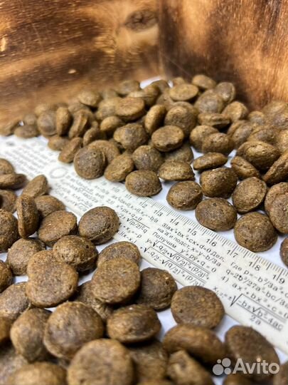 Сухой корм для собак крупных пород