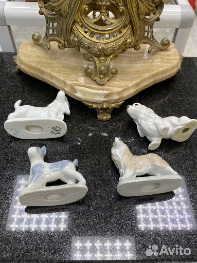 Собаки Германия