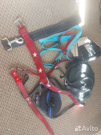 Ошейник для собак. Поводок. Шлейка. Намордник