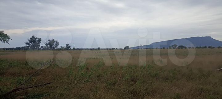 Участок 10 га (ИЖС)