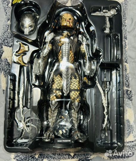 Predator Scar(Hot toys)