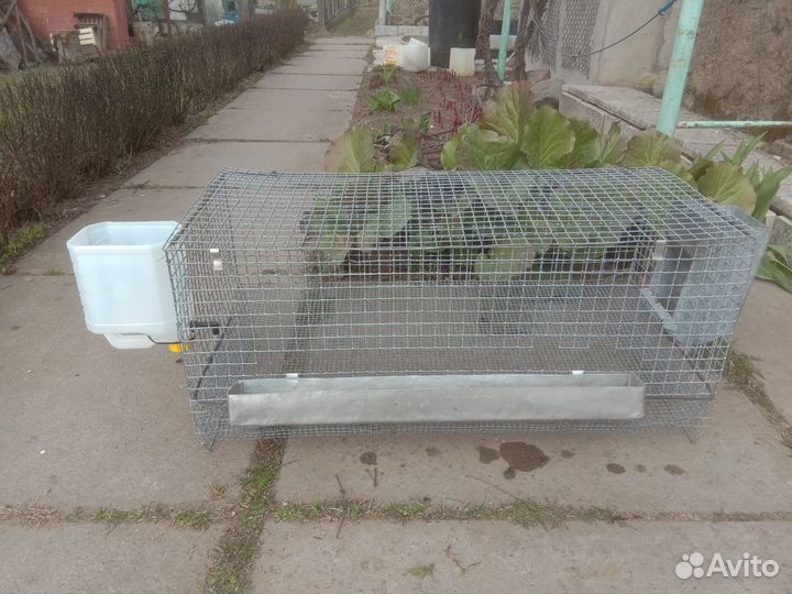 Клетка и переноска для перепелов и куриц