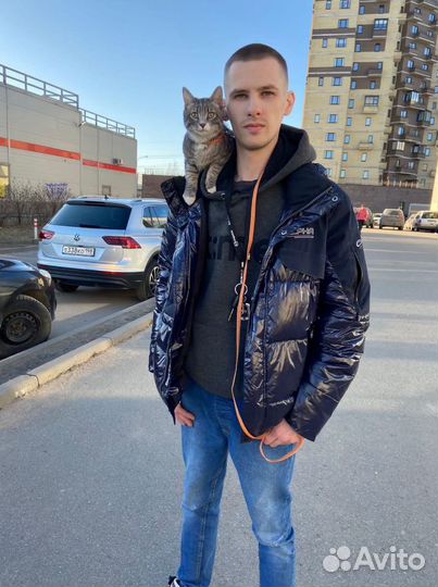 Клининг. Клининговые услуги. Уборка квартиры