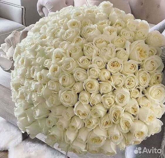 Розы Высокие Розы Гиганты Доставка Москва