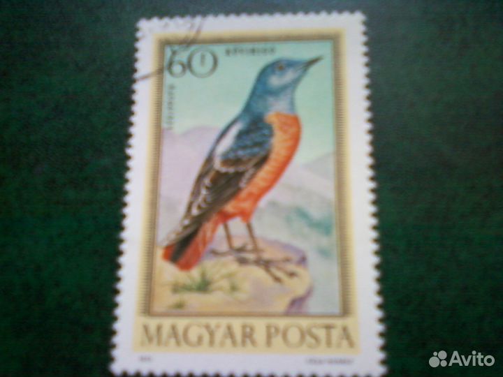 Птицы (Венгрия, 1973)