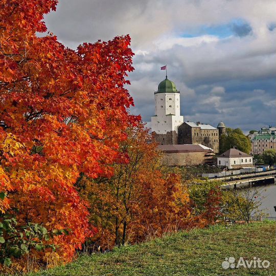 Экскурсовод по городу Выборгу