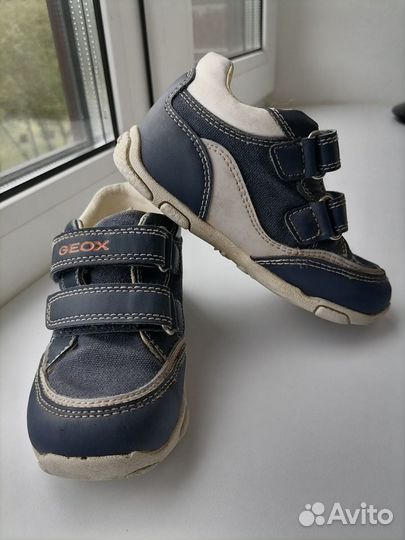 Кроссовки для мальчика, geox, 25 (15,5 см)