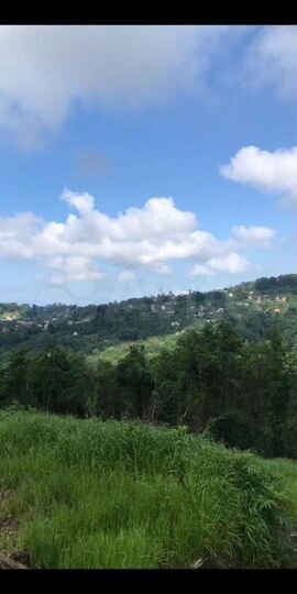 Участок 5 сот. (СНТ, ДНП)