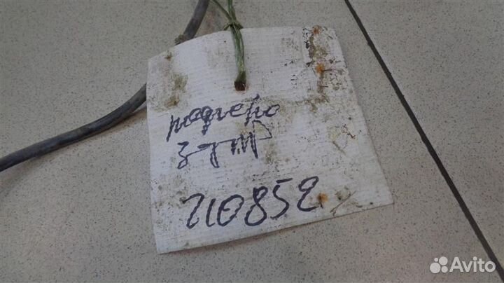 Датчик ABS задний правый Mitsubishi Pajero, Monte