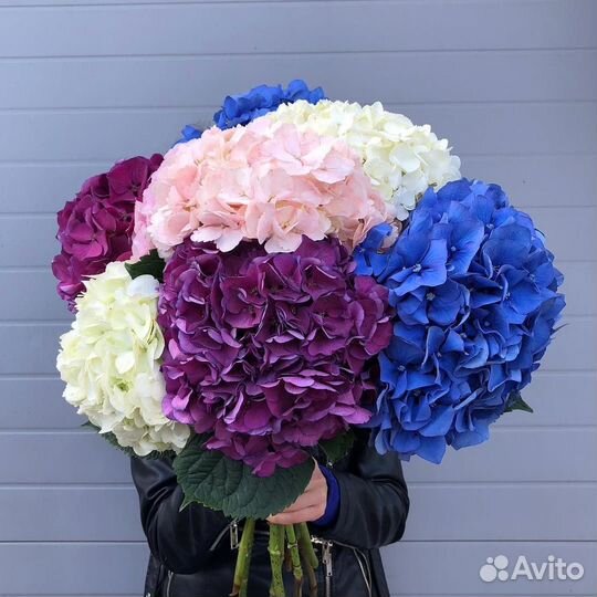 Гортензия/ букеты из гортензий