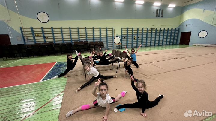 Художественная гимнастика